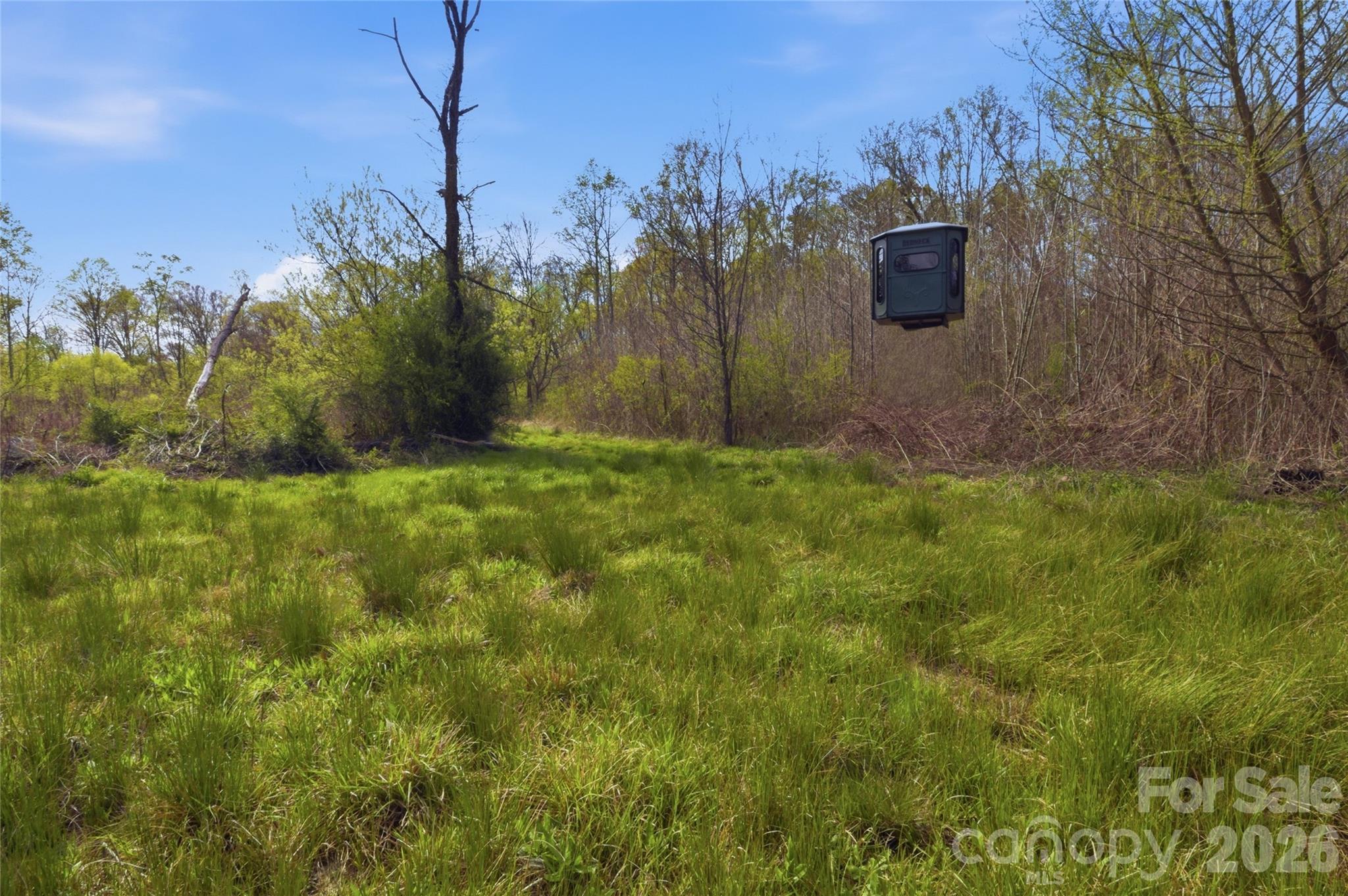 0 Alf Hoover Road Lincolnton, NC 28092 - Photo 8 of 13 a backyard of a house with lots of green space