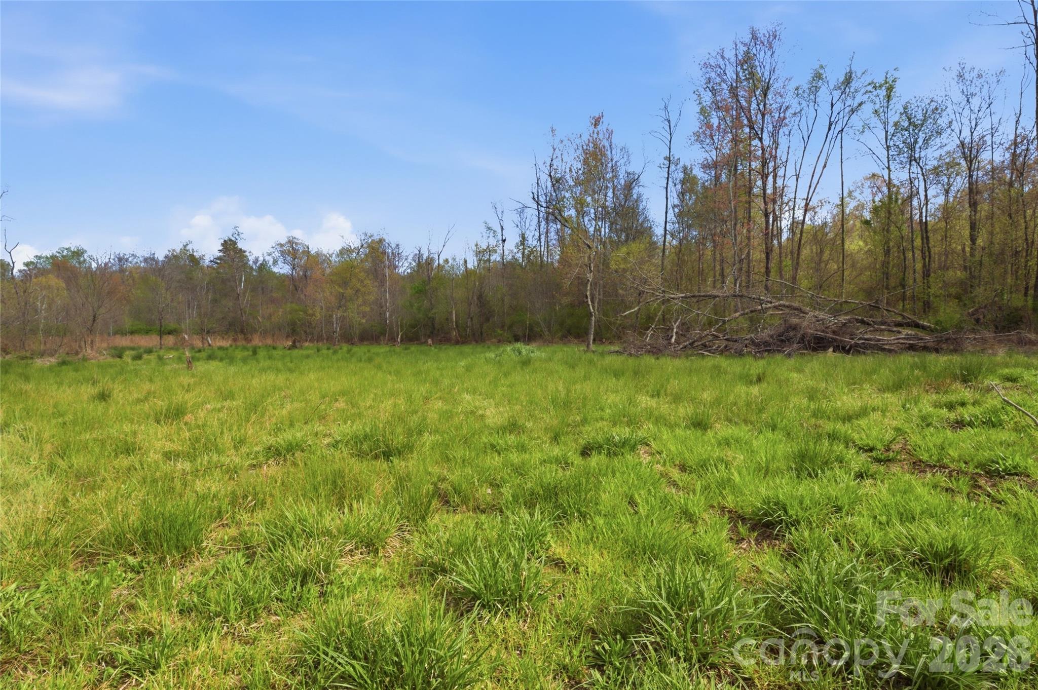 0 Alf Hoover Road Lincolnton, NC 28092 - Photo 9 of 13 a view of a yard with a tree