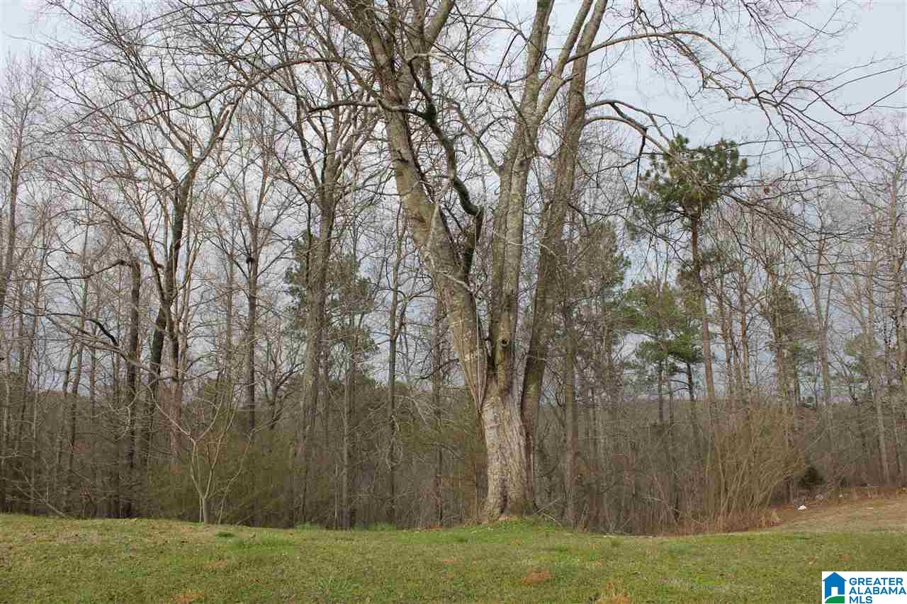 1852 Parc Ridge Circle, Unit 14 Warrior, AL 35180 - Photo 5 of 6