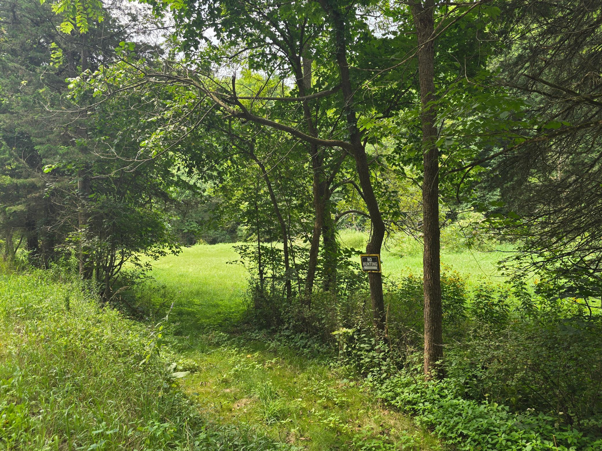 18123 Deer Road Lanesboro, MN 55949 - Photo 122 of 133 Gallery Image 122