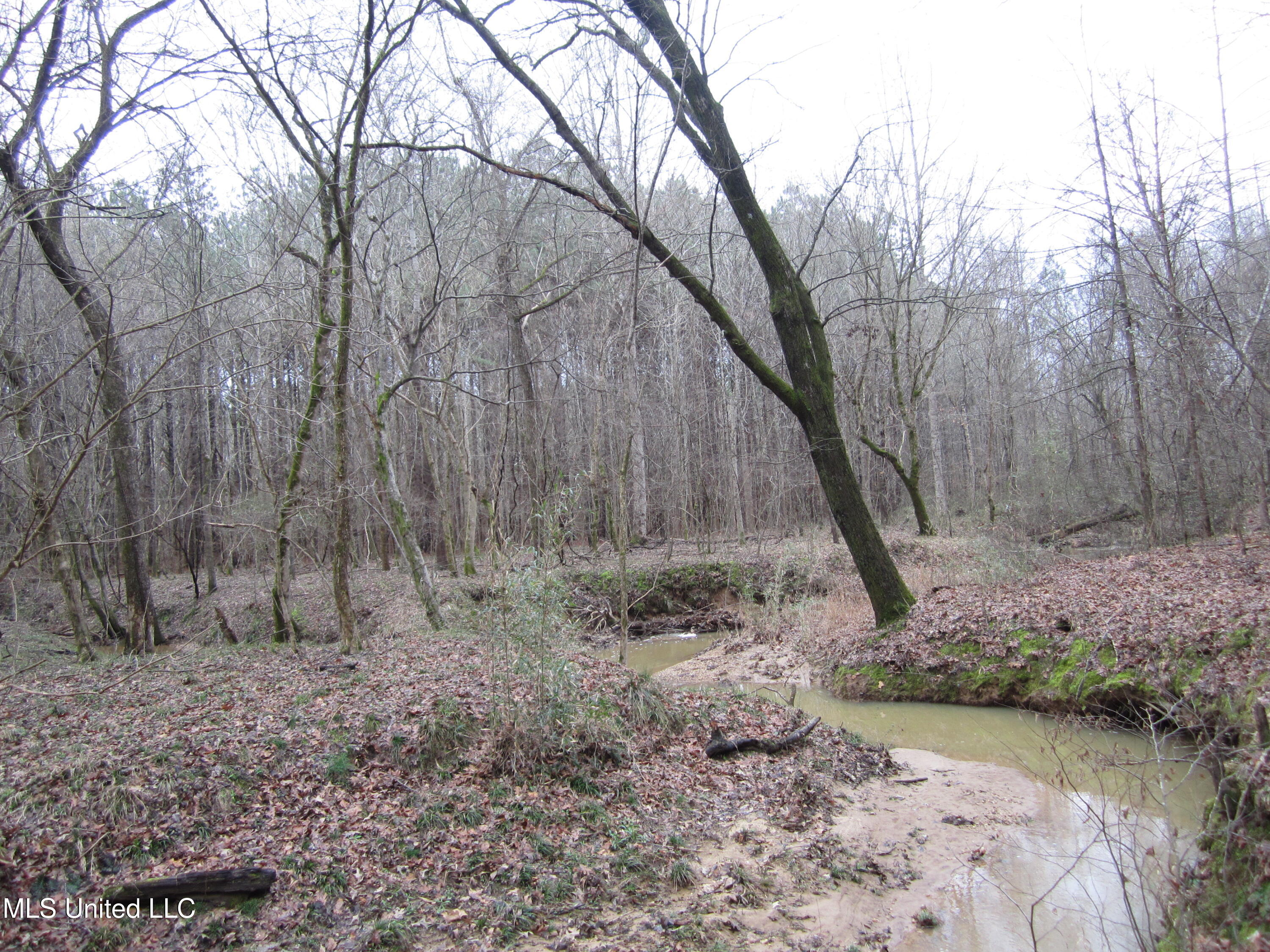 Hunter Creek Road Oakland, MS 38948 - Photo 11 of 20 IMG_7604