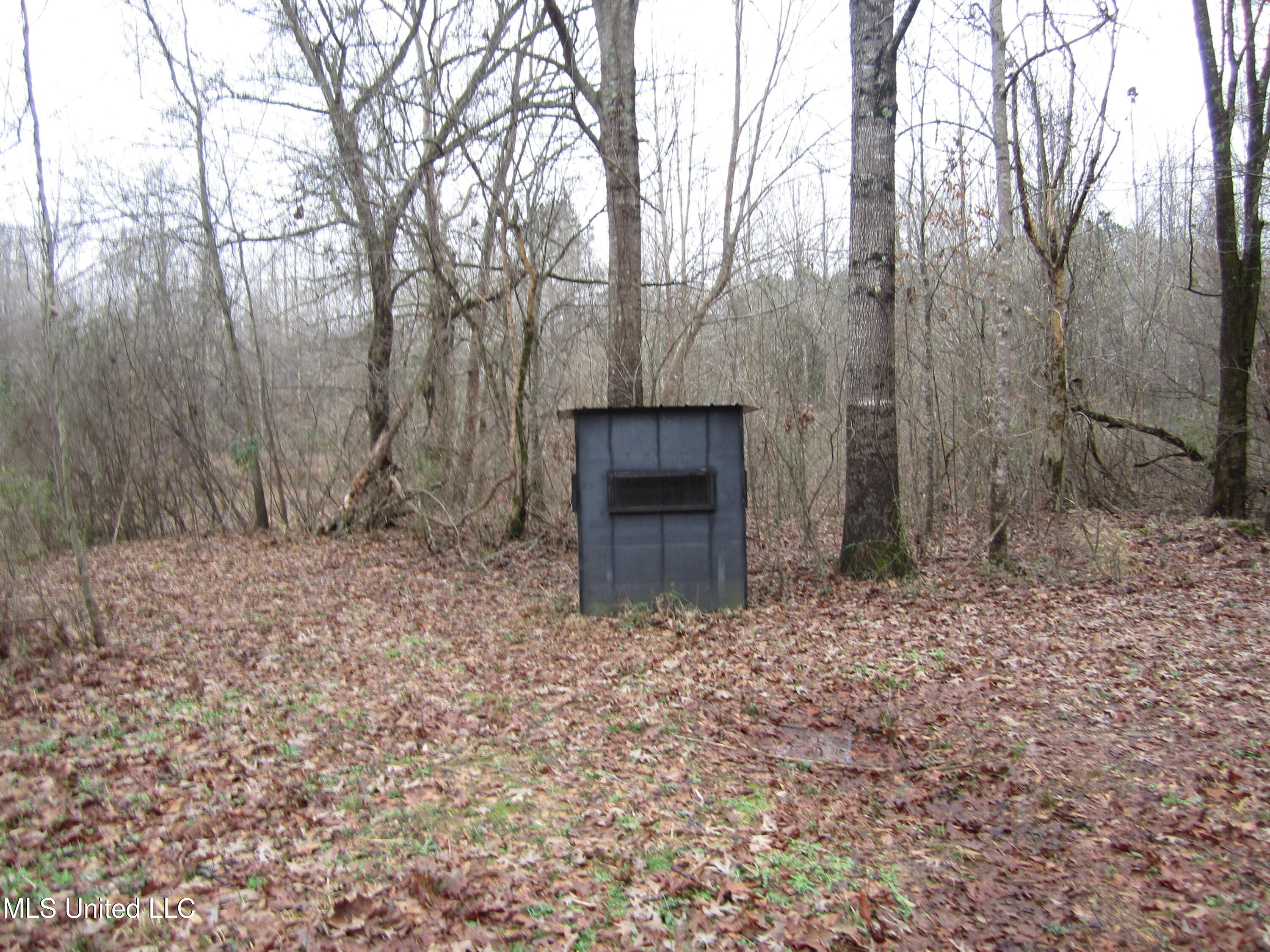 Hunter Creek Road Oakland, MS 38948 - Photo 14 of 20 IMG_7607