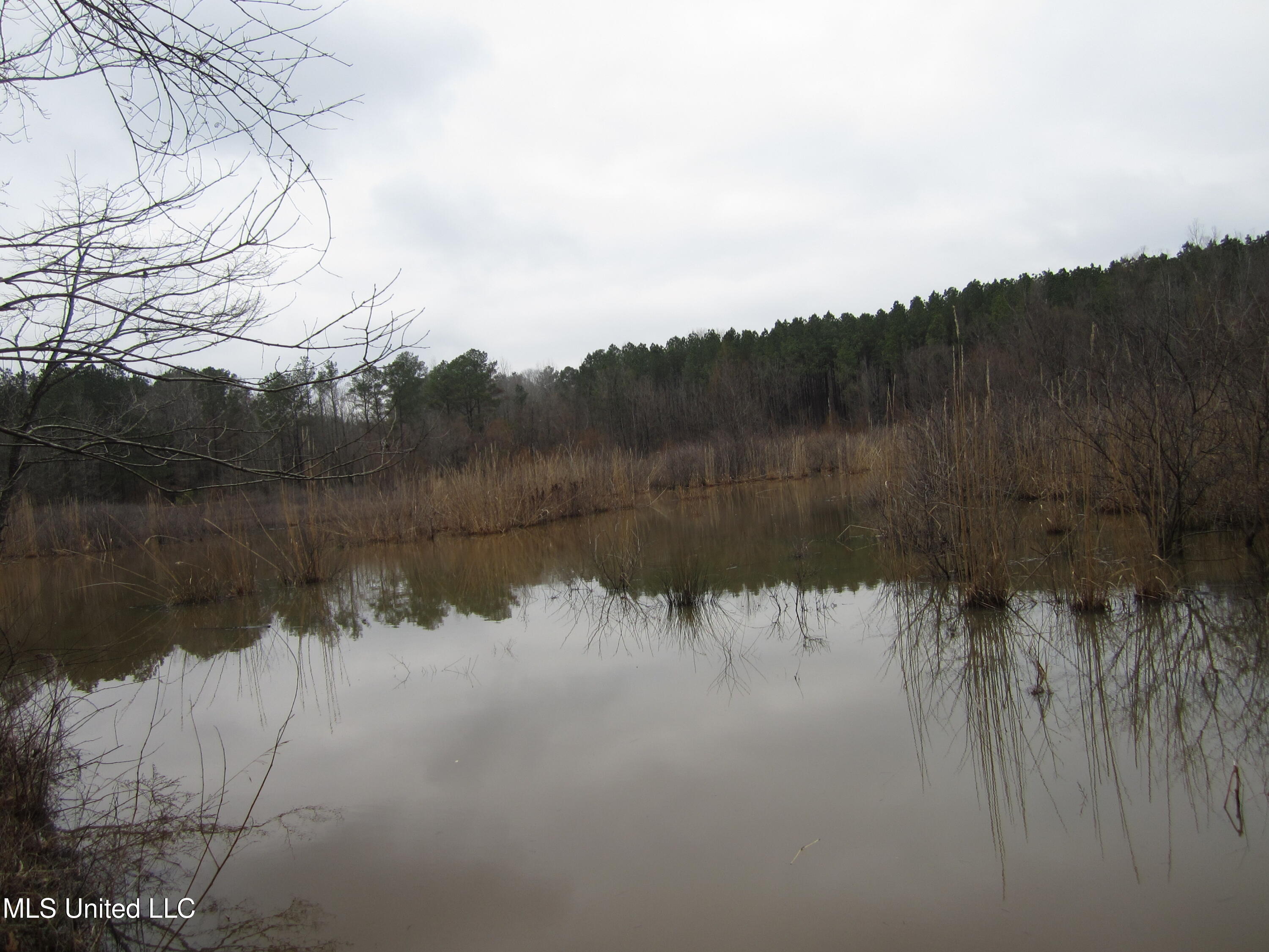Hunter Creek Road Oakland, MS 38948 - Photo 17 of 20 IMG_7613
