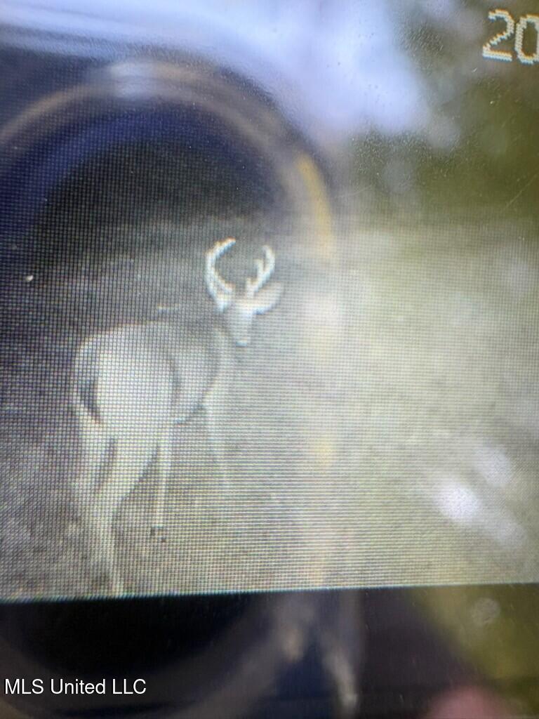 Hunter Creek Road Oakland, MS 38948 - Photo 19 of 20 thumbnail_IMG_2201