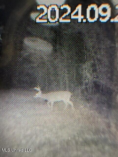 Hunter Creek Road Oakland, MS 38948 - Photo 20 of 20 thumbnail_IMG_2204