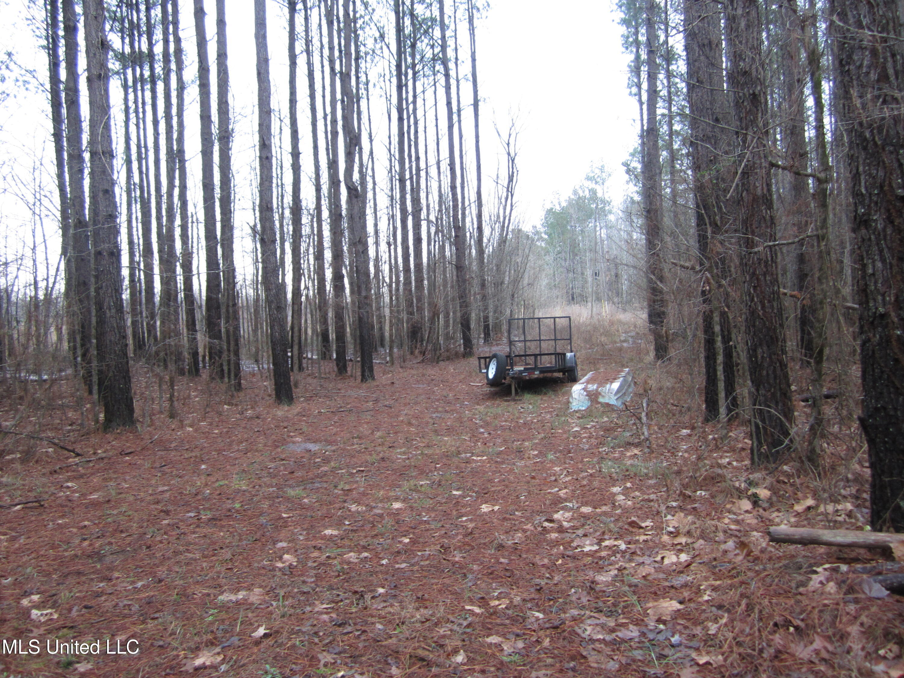 Hunter Creek Road Oakland, MS 38948 - Photo 2 of 20 IMG_7595