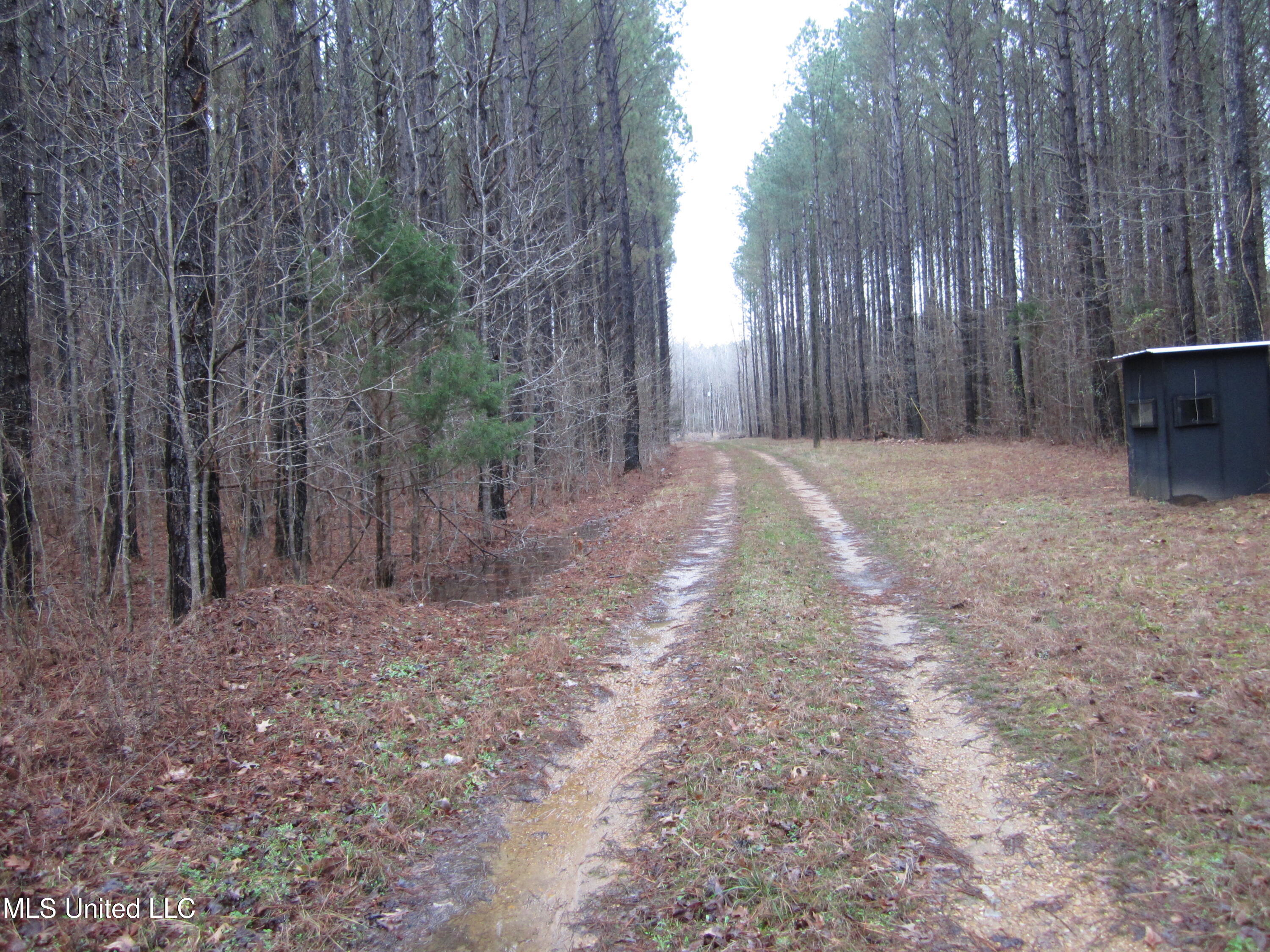 Hunter Creek Road Oakland, MS 38948 - Photo 4 of 20 IMG_7597