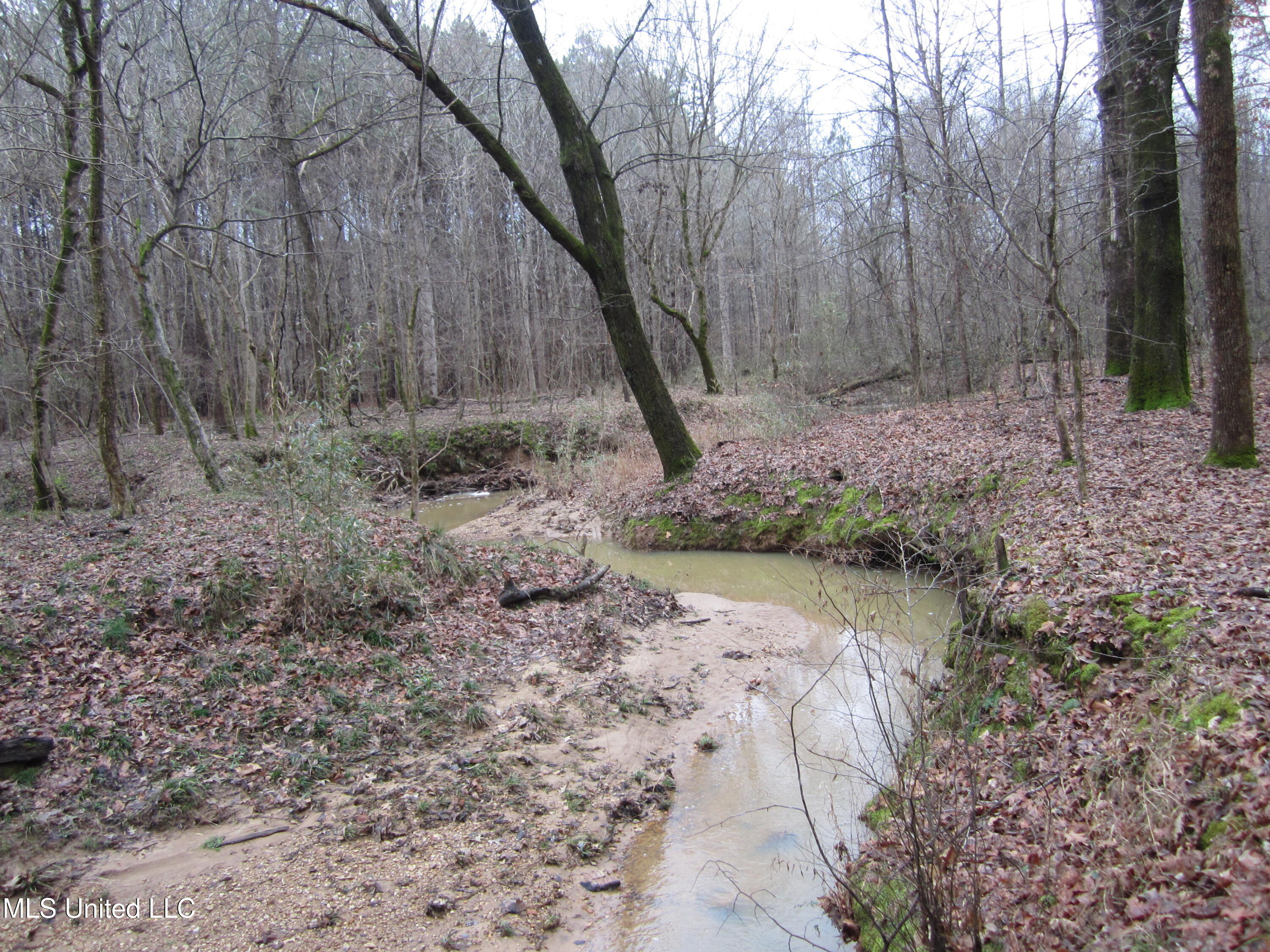 Hunter Creek Road Oakland, MS 38948 - Photo 10 of 20 IMG_7603