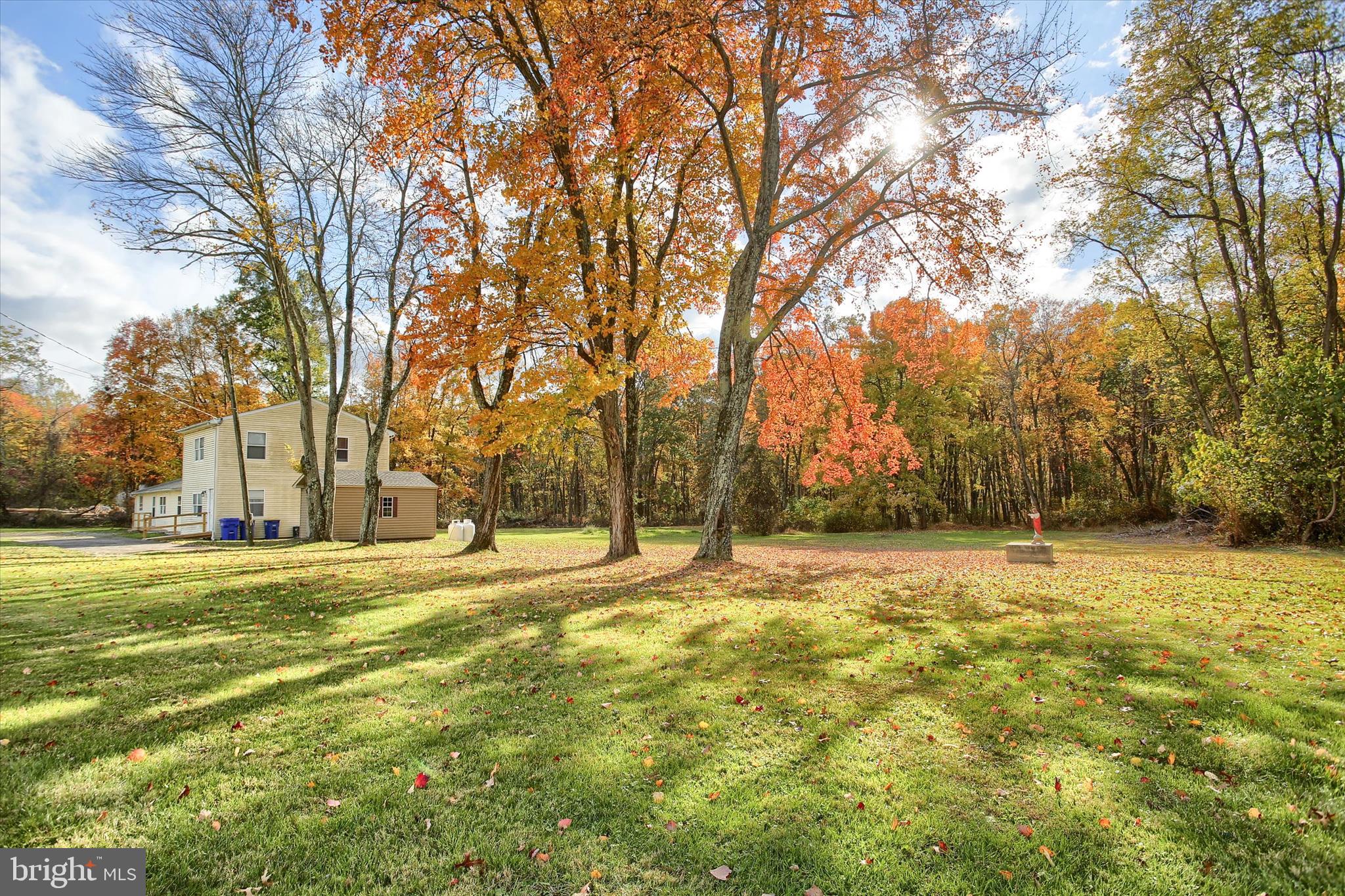 859 Pinetown Road Lewisberry, PA 17339 - Photo 3 of 51 a view of big yard with large trees