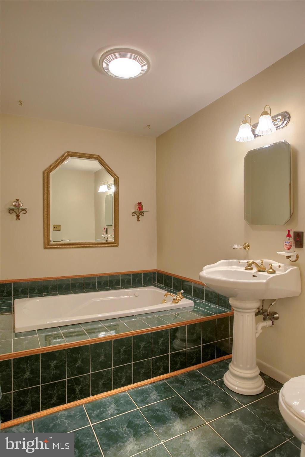 859 Pinetown Road Lewisberry, PA 17339 - Photo 36 of 51 a bathroom with a sink and a mirror