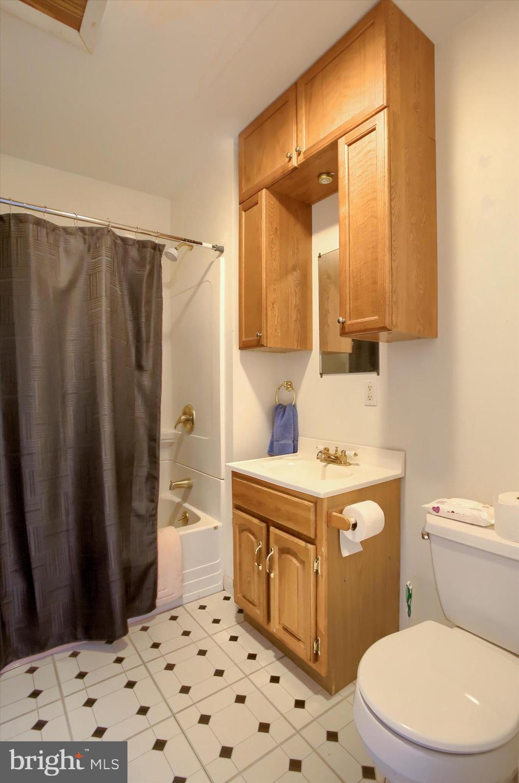 859 Pinetown Road Lewisberry, PA 17339 - Photo 40 of 51 a bathroom with a sink a toilet and shower