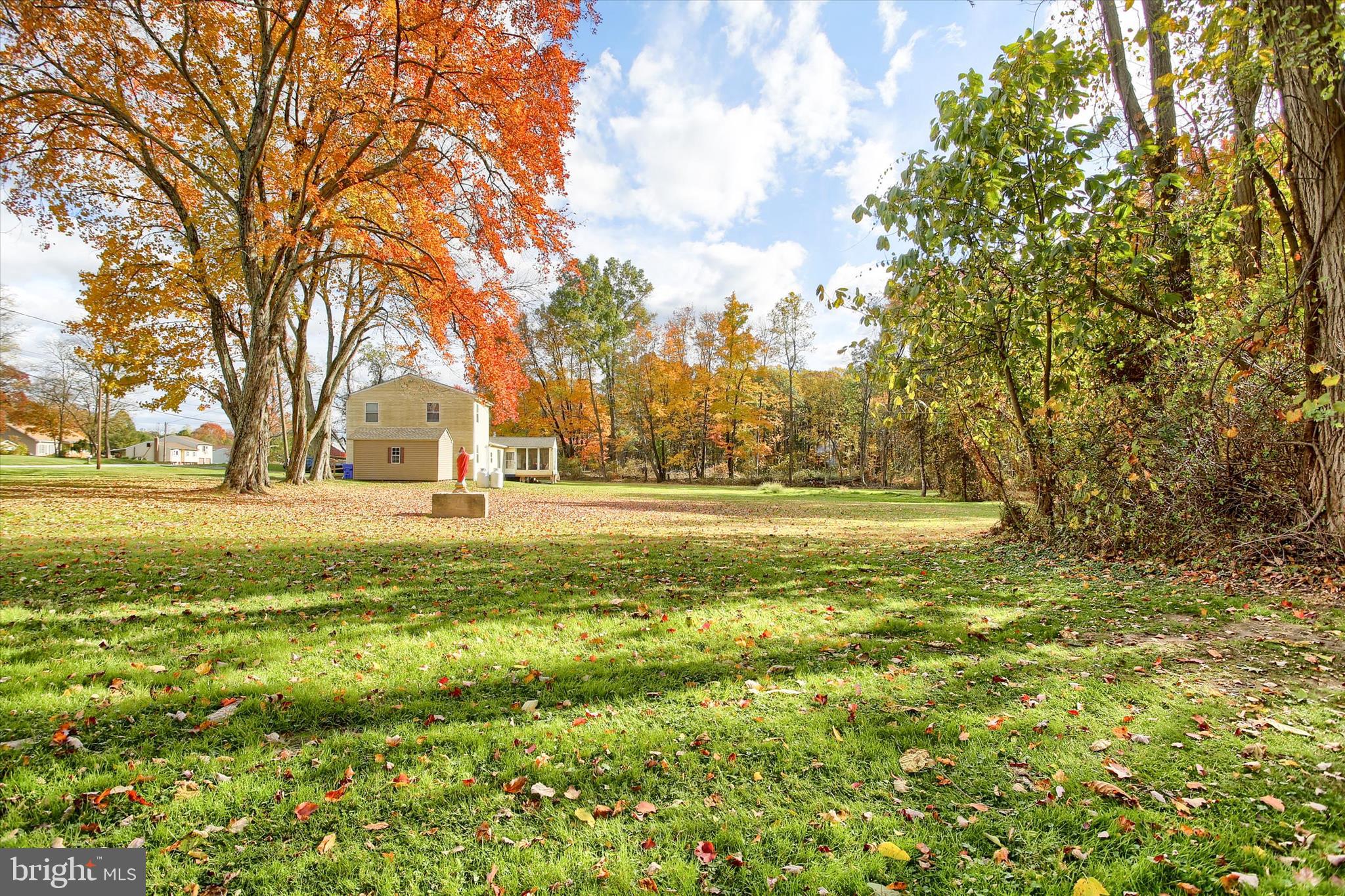859 Pinetown Road Lewisberry, PA 17339 - Photo 4 of 51 a view of yard with large trees