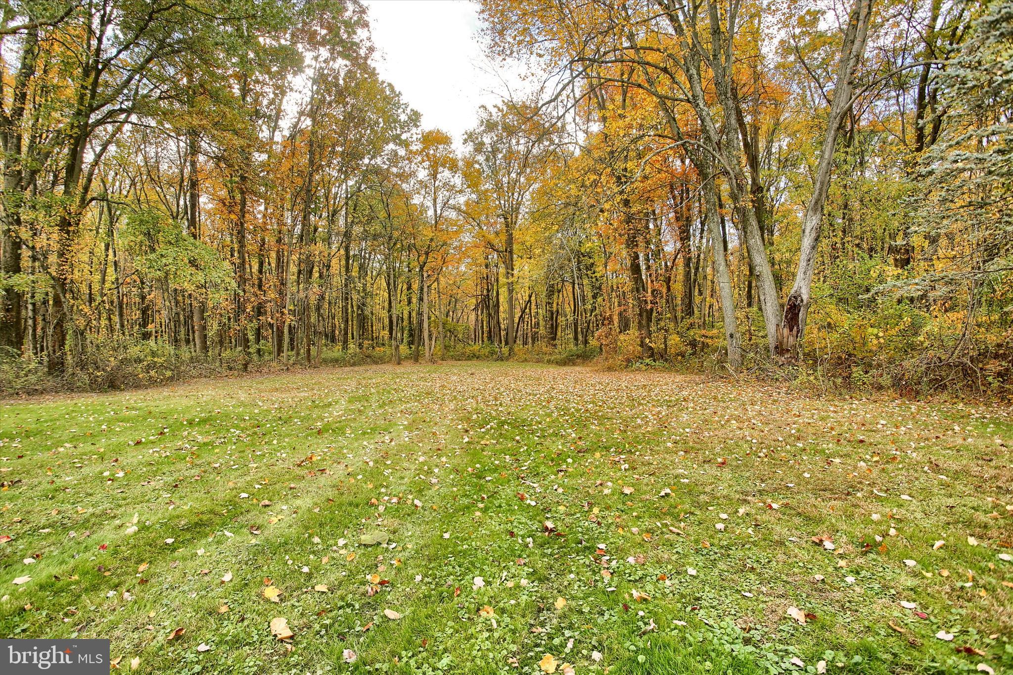859 Pinetown Road Lewisberry, PA 17339 - Photo 7 of 51 a view of outdoor space