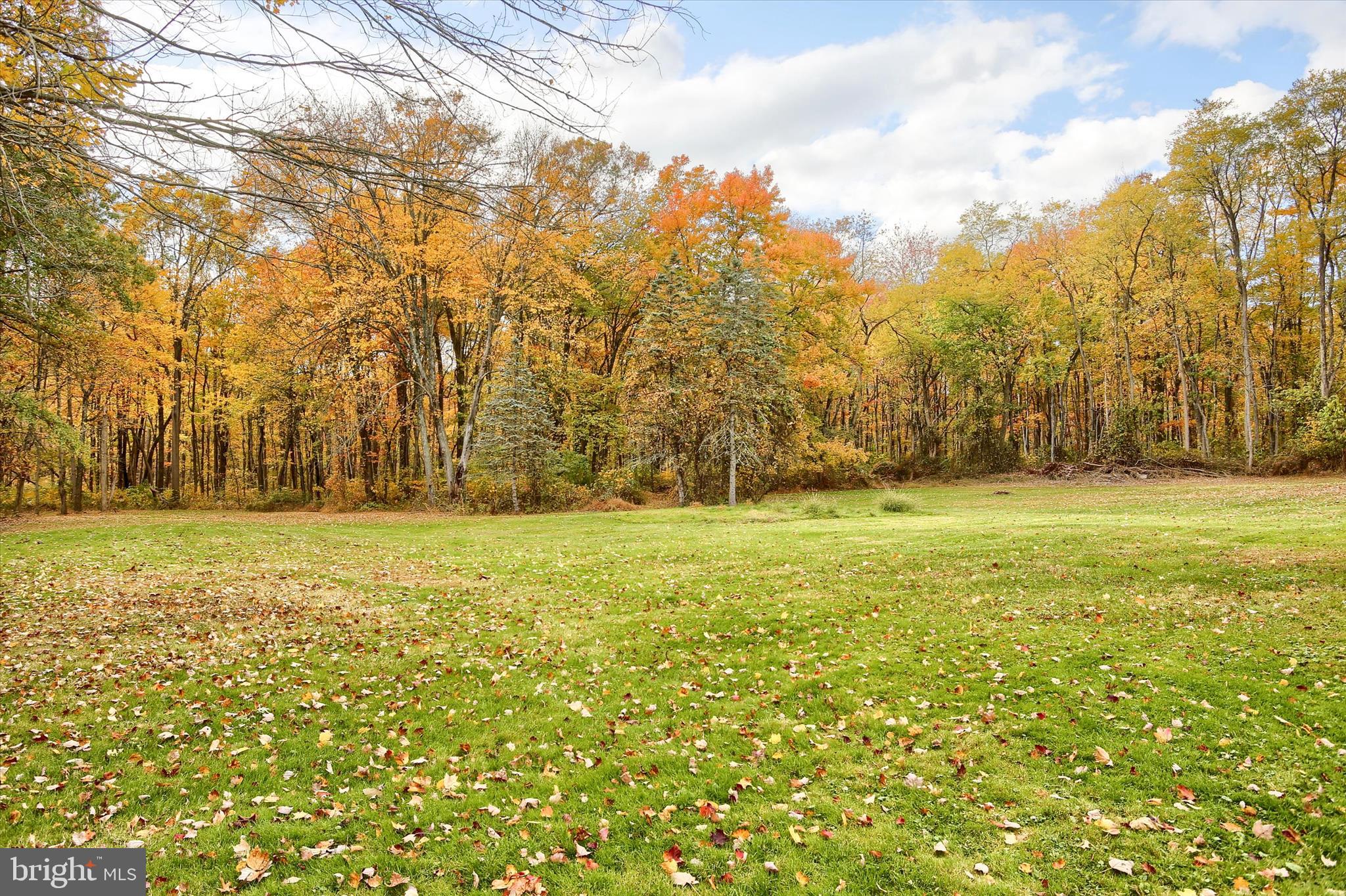 859 Pinetown Road Lewisberry, PA 17339 - Photo 8 of 51 a view of yard with green space