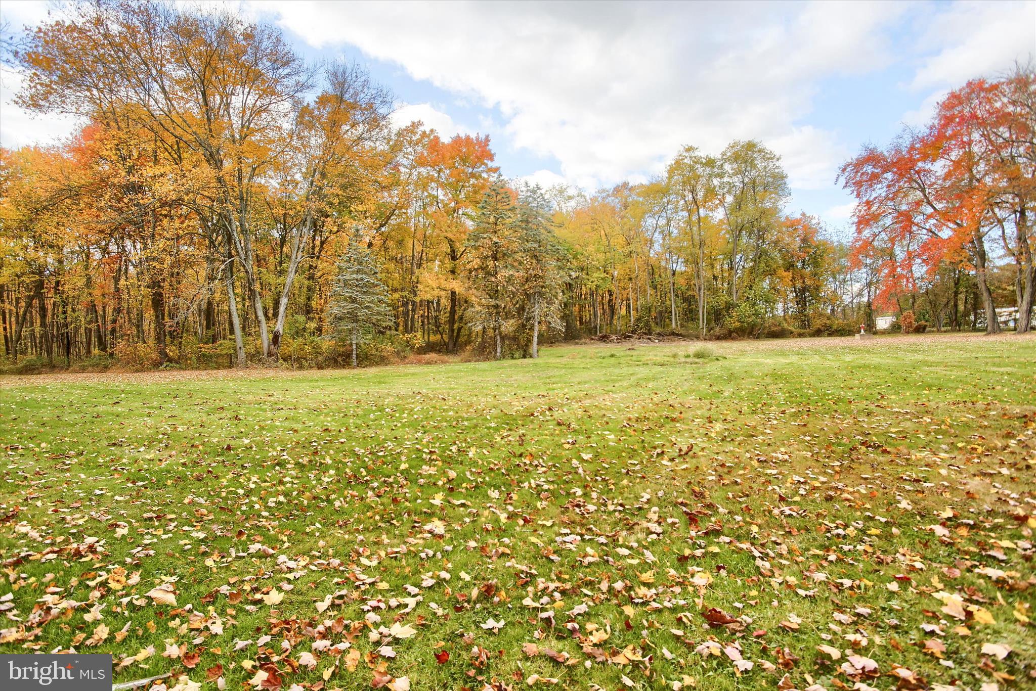 859 Pinetown Road Lewisberry, PA 17339 - Photo 9 of 51 a view of outdoor space with trees all around