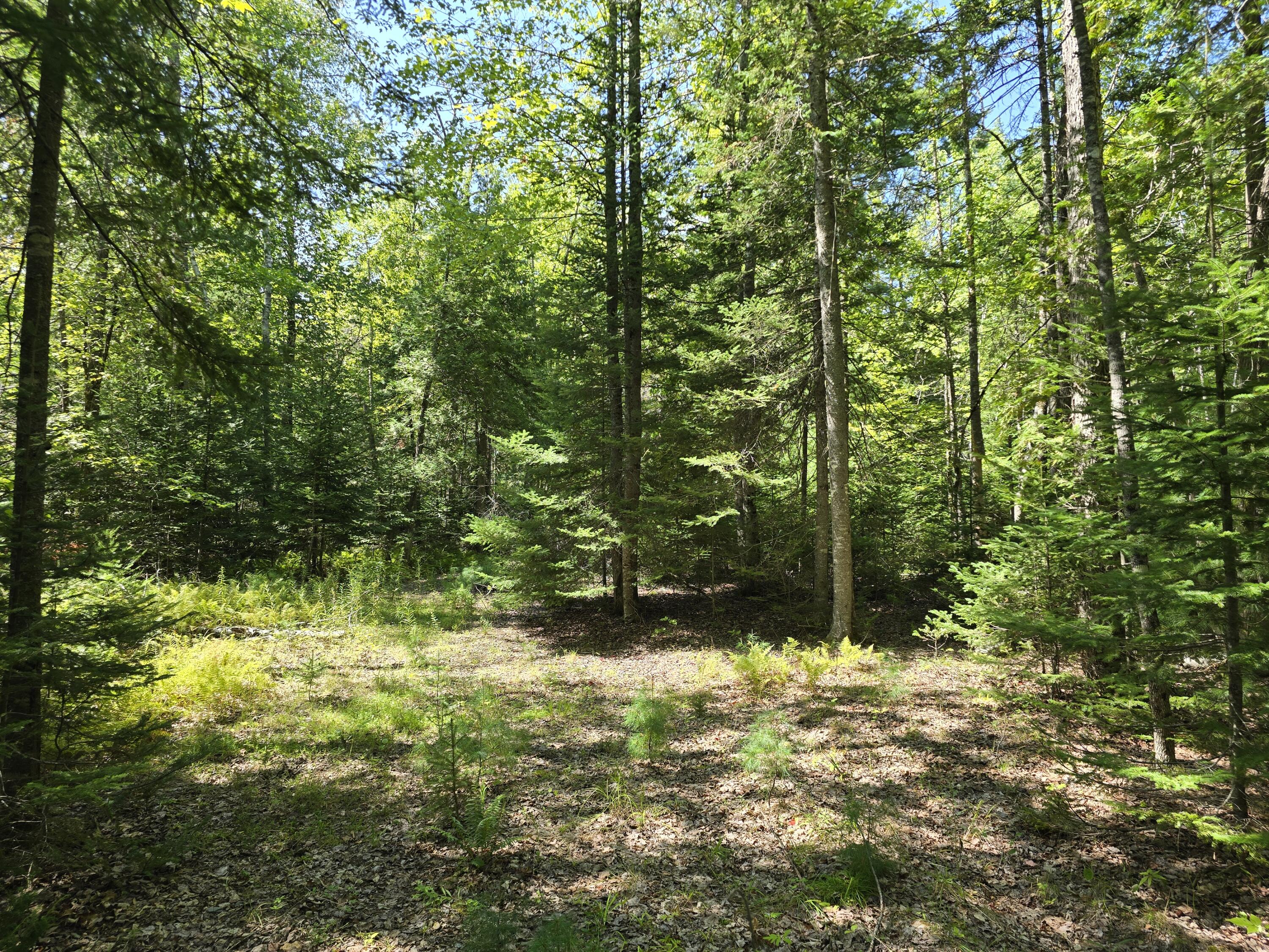 0 French Road Levant, ME 04456 - Photo 8 of 16 20260829_123914