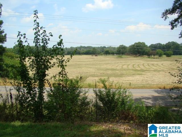 183 Holly Hills Road Lincoln, AL 35096 - Photo 26 of 28