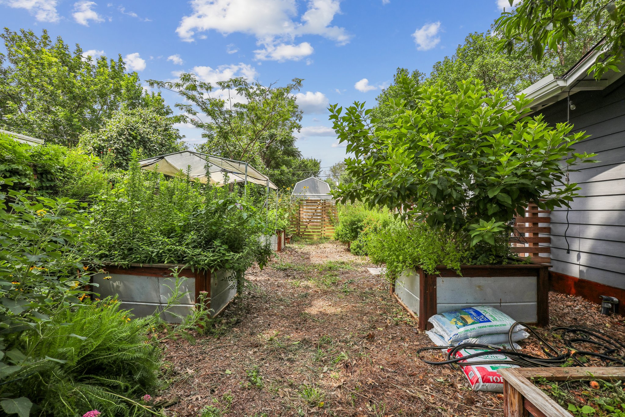 1114 West 2nd Street Elgin, TX 78621 - Photo 28 of 31 Cultivate your green thumb in this delightful backyard garden featuring raised beds and lush foliage.
