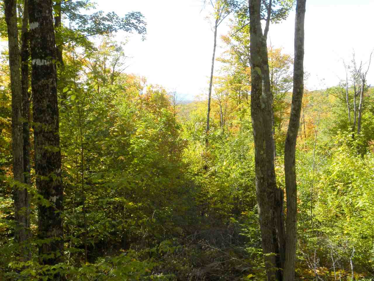 0 Coburn Hill Road Craftsbury, VT 05826 - Photo 18 of 21