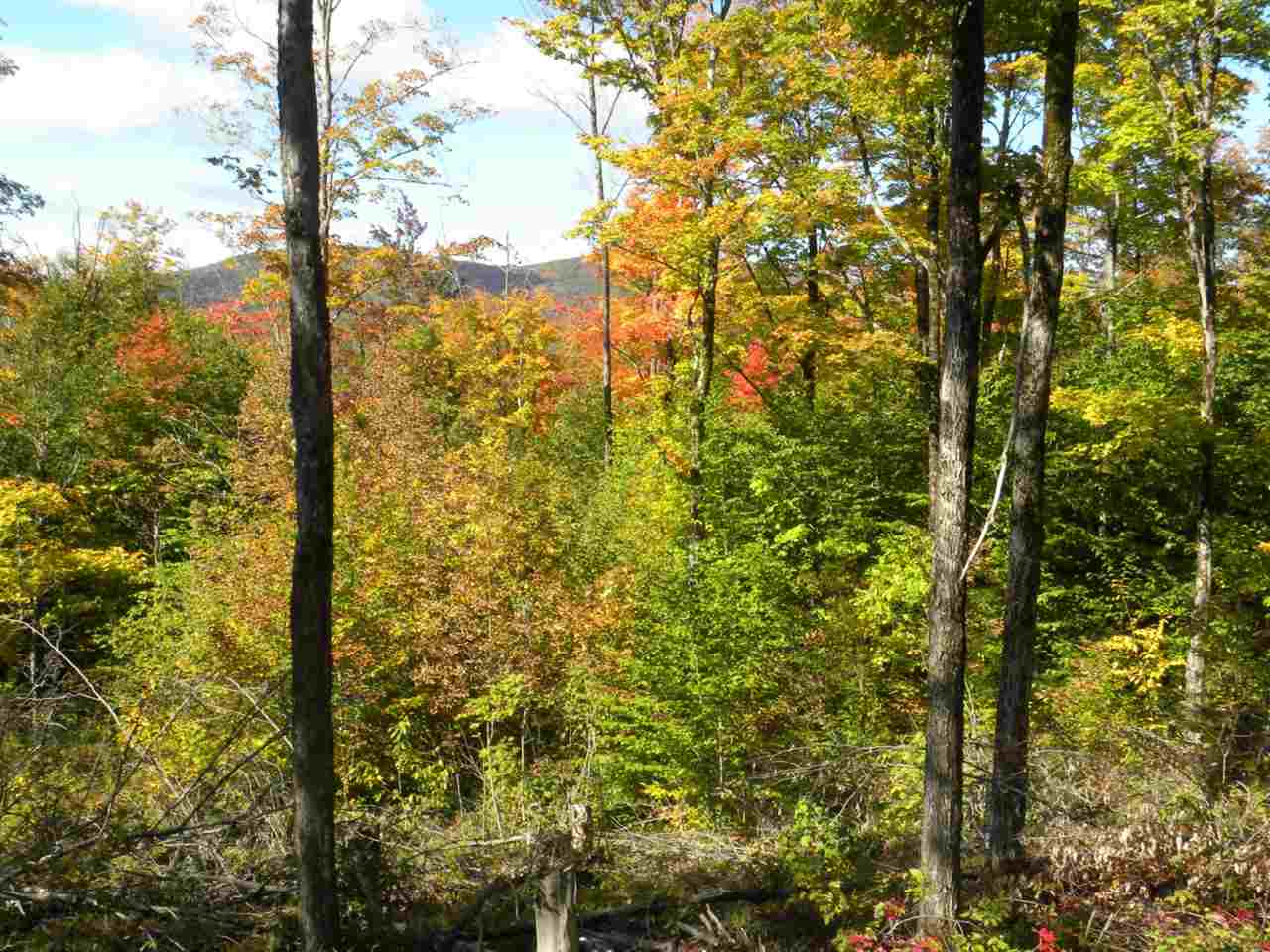 0 Coburn Hill Road Craftsbury, VT 05826 - Photo 19 of 21