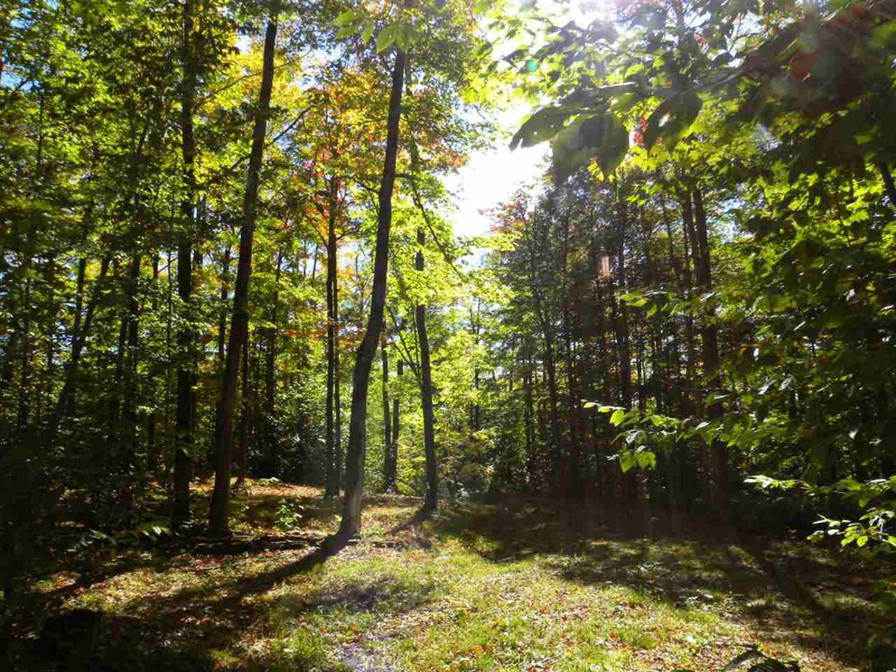 0 Coburn Hill Road Craftsbury, VT 05826 - Photo 20 of 21