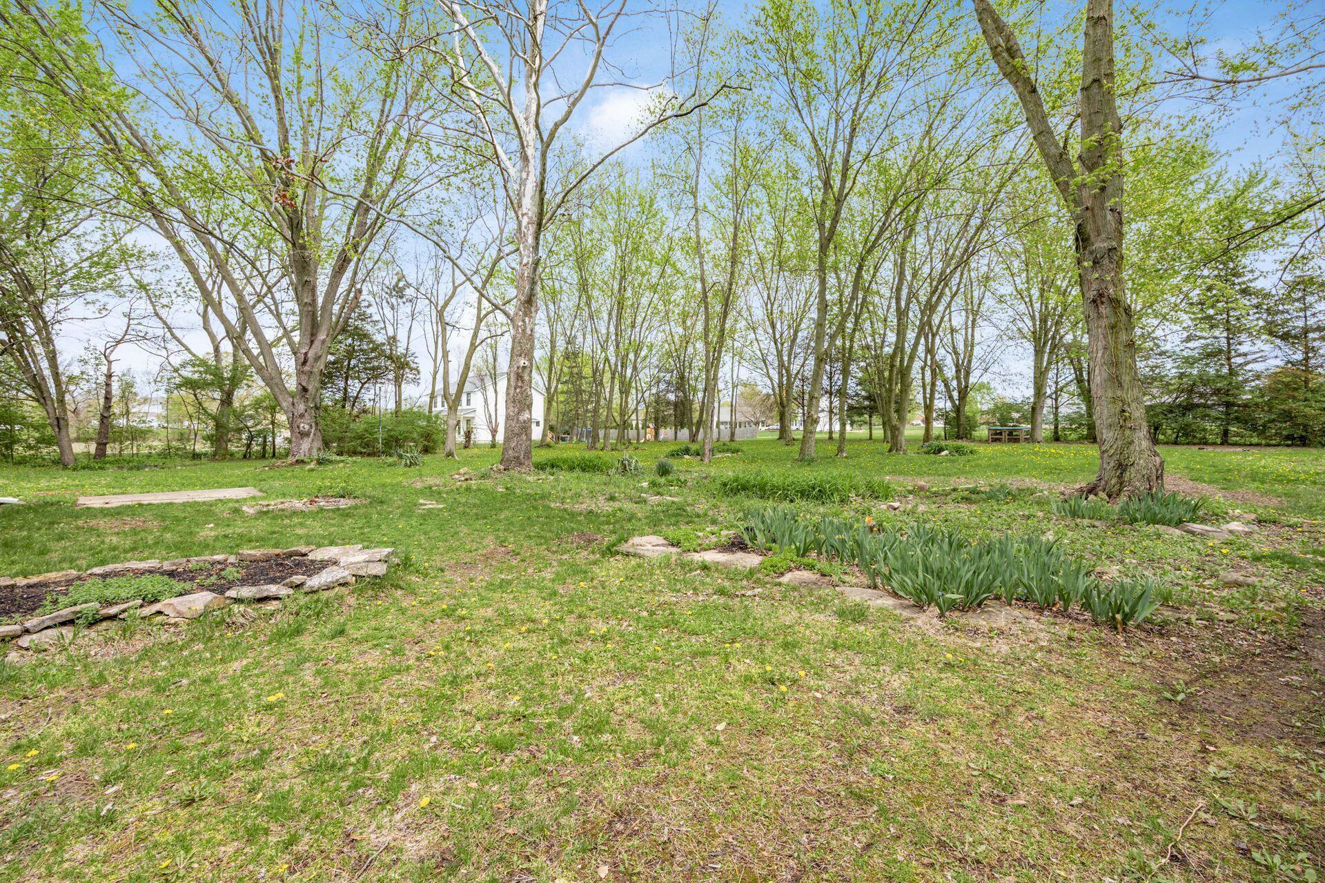 6517 South Section Line Road Delaware, OH 43015 - Photo 40 of 44 Yard