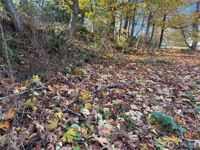 $90,000 | 43-H Beach Way, Hat Island, WA 98201