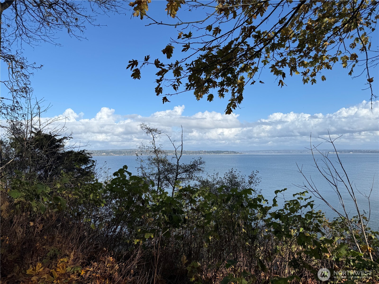 43-H Beach Way Hat Island, WA 98201 - Photo 10 of 21