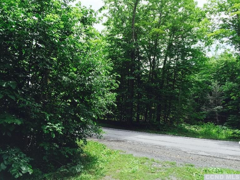40 Bogardus Road Cairo, NY 12405 - Photo 4 of 10 a view of yard
