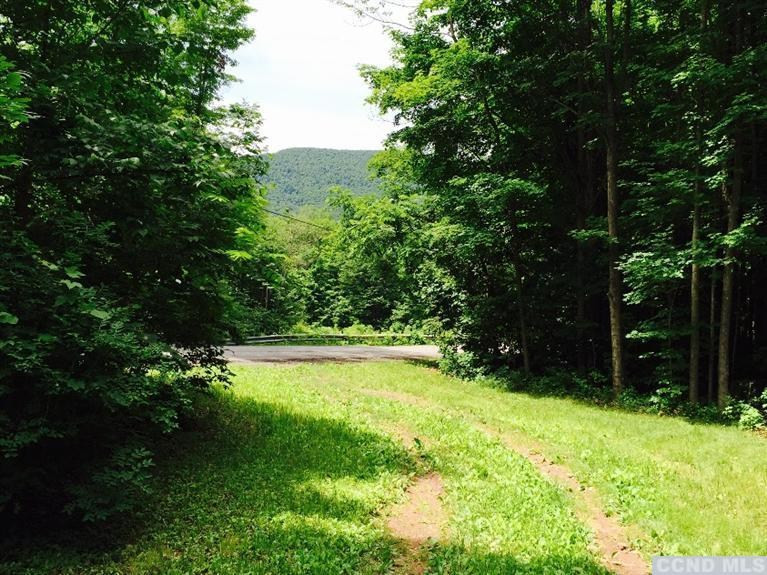 40 Bogardus Road Cairo, NY 12405 - Photo 7 of 10 a view of yard with green space