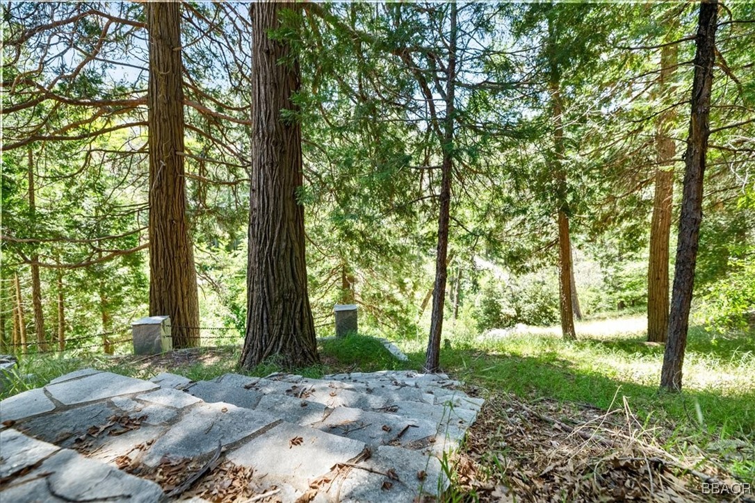 24755 Basel Drive Crestline, CA 92325 - Photo 27 of 28 a view of backyard with green space