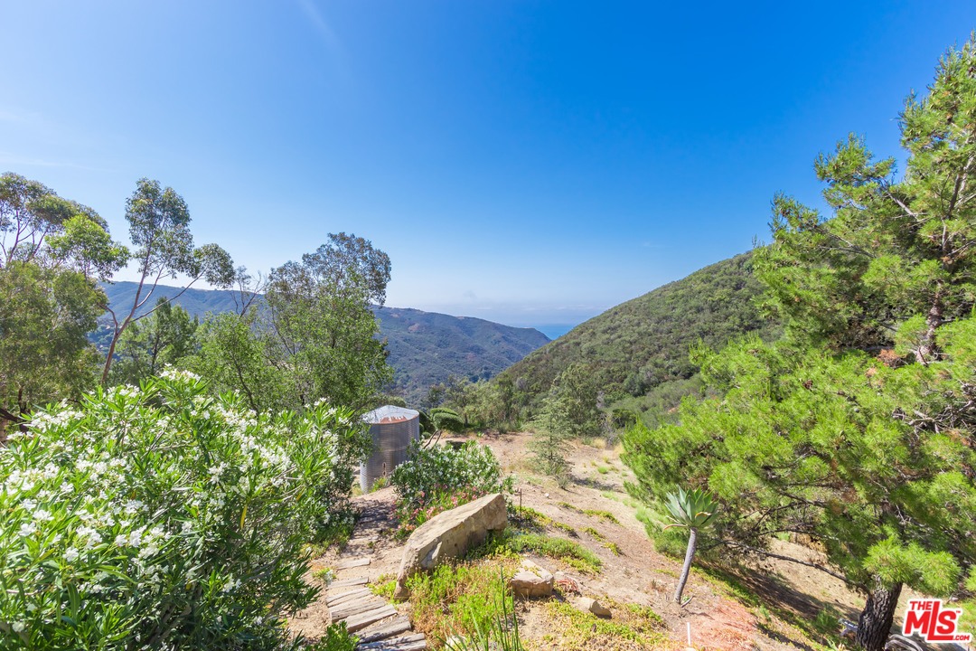 2382 Live Oak Meadows Road Malibu, CA 90265 - Photo 19 of 27 a view of a plants with flower plants in front of main door