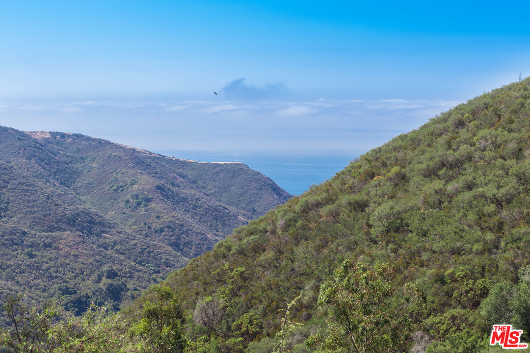 2382 Live Oak Meadows Road Malibu, CA 90265 - Photo 27 of 27 a view of a dry yard with mountains in the background