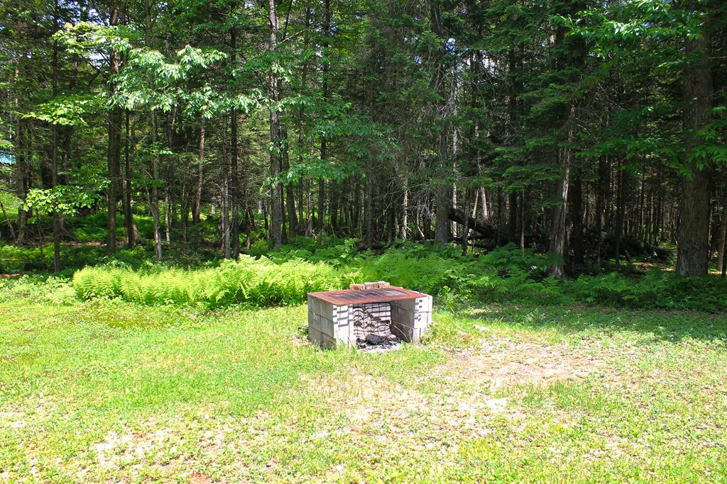 131 Spruce Road Woodgate, NY 13494 - Photo 8 of 26 Gallery Image 8