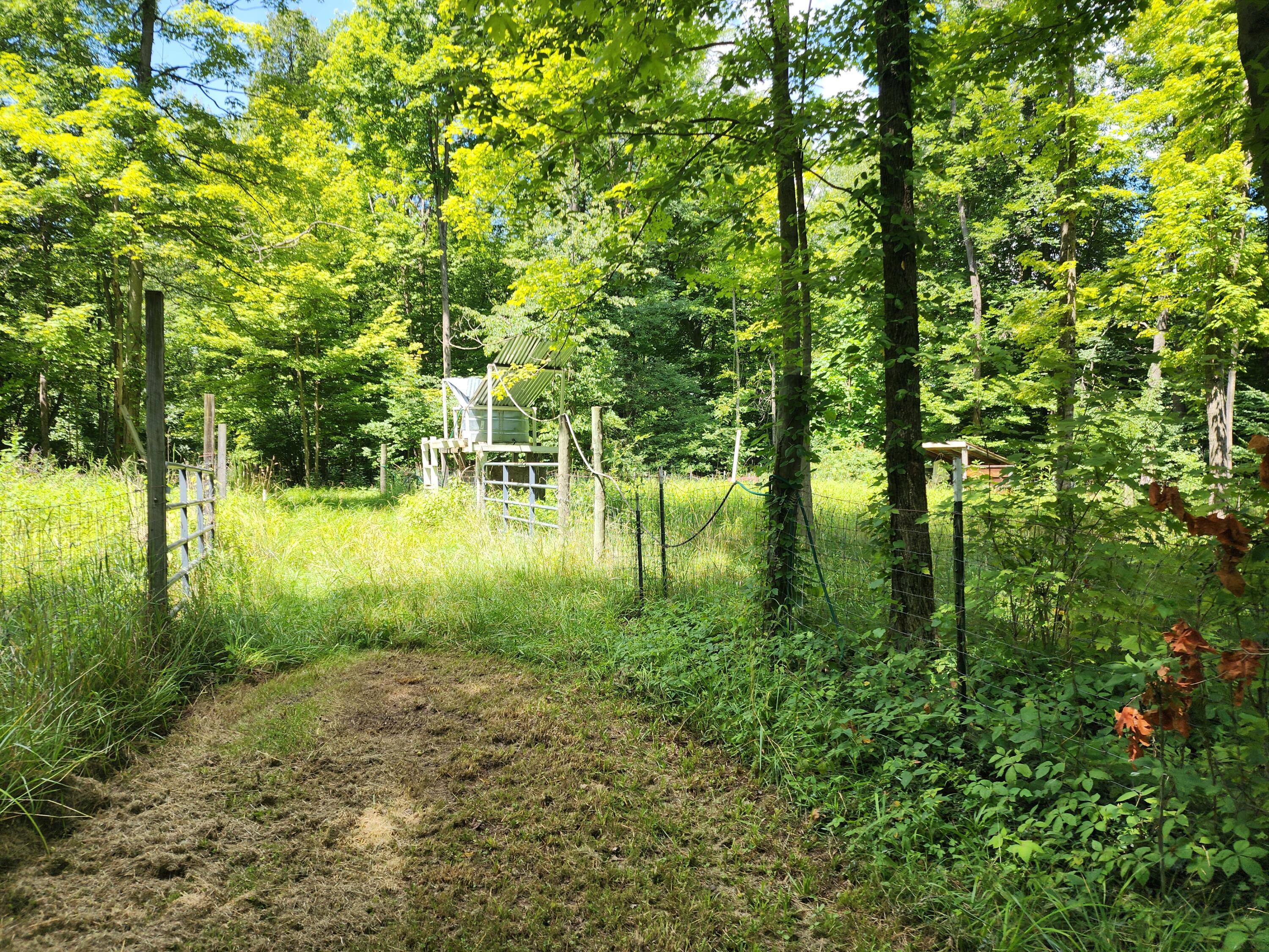 5120 Stetzer Road Bucyrus, OH 44820 - Photo 44 of 57 1000009824