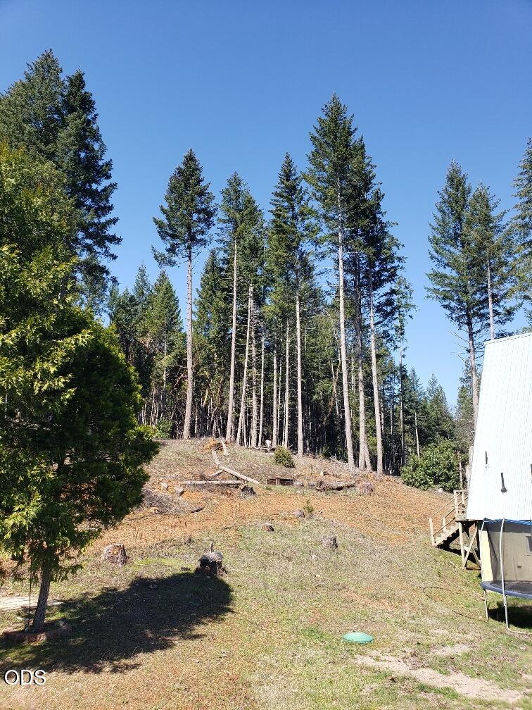 3160 Rockydale Road Cave Junction, OR 97523 - Photo 70 of 90
