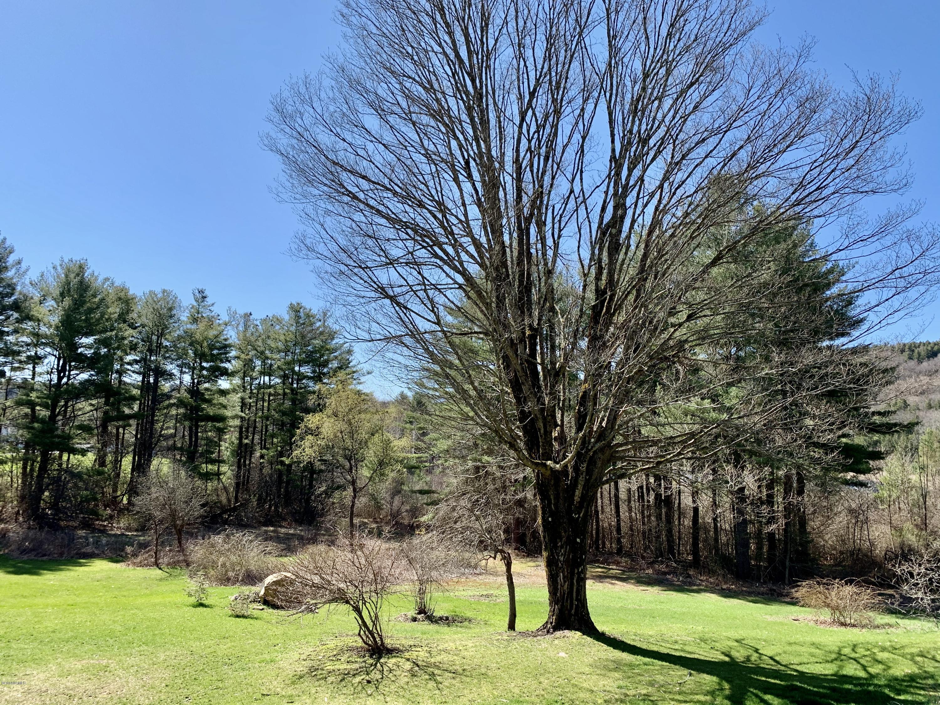 522 Main Road Monterey, MA 01245 - Photo 30 of 33 East yard