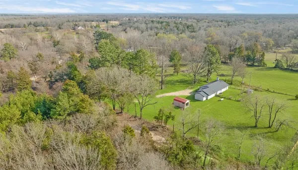 a view of a yard with a tree