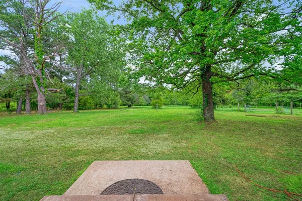 a view of a garden with trees