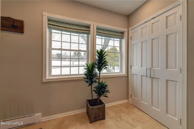 a potted plant sitting in front of a window