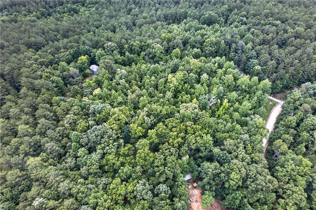 130 Maggie Rufus Lane Westminster, SC 29693 - Photo 47 of 50 Find seclusion on this wooded lot with an existing structure and winding driveway.