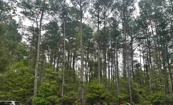 $185,000 | Tbd Creekside Drive, Myrtle Beach, SC 29588