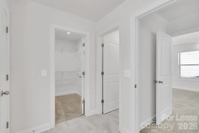 a bathroom with a shower sink and mirror