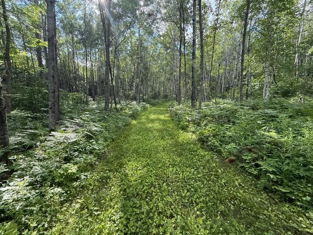 Tbd North Moose Lake Road Northeast Pennington, MN 56663 - Photo 9 of 26