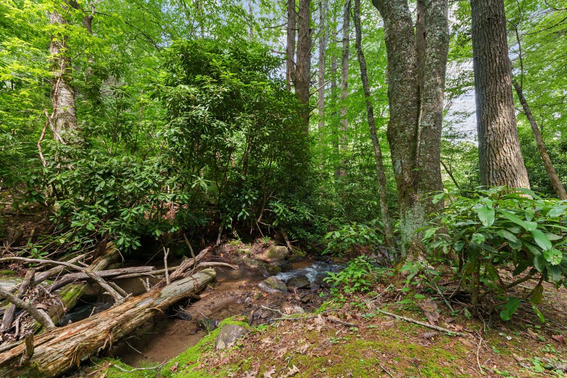 293 Gem Creek Road Cullowhee, NC 28723 - Photo 37 of 48 Gallery Image 37