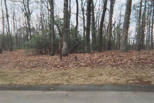 Lot 188 Cliff Ridge Drive Cleveland, SC 29635 - Photo 1 of 9