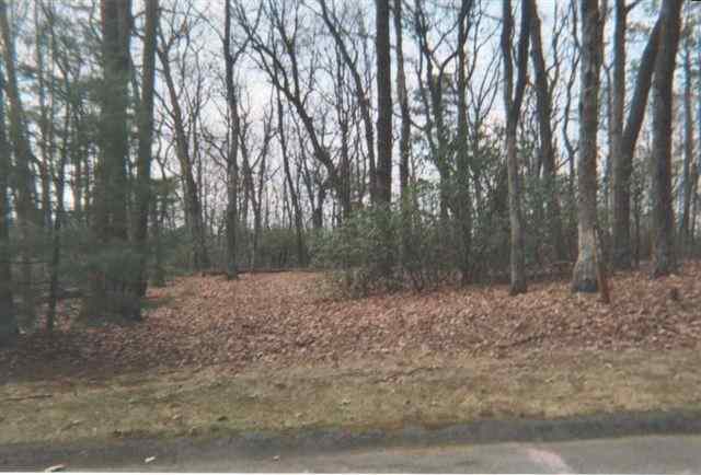 Lot 188 Cliff Ridge Drive Cleveland, SC 29635 - Photo 2 of 9