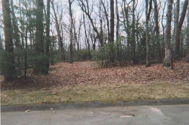 Lot 188 Cliff Ridge Drive Cleveland, SC 29635 - Photo 3 of 9