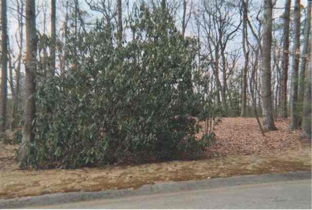 Lot 188 Cliff Ridge Drive Cleveland, SC 29635 - Photo 4 of 9