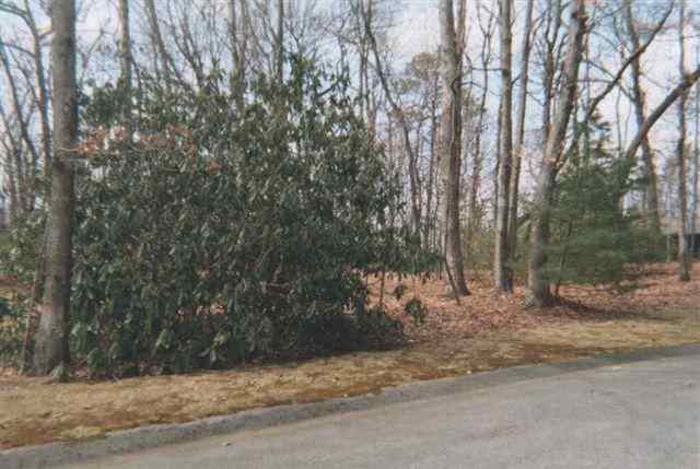 Lot 188 Cliff Ridge Drive Cleveland, SC 29635 - Photo 5 of 9